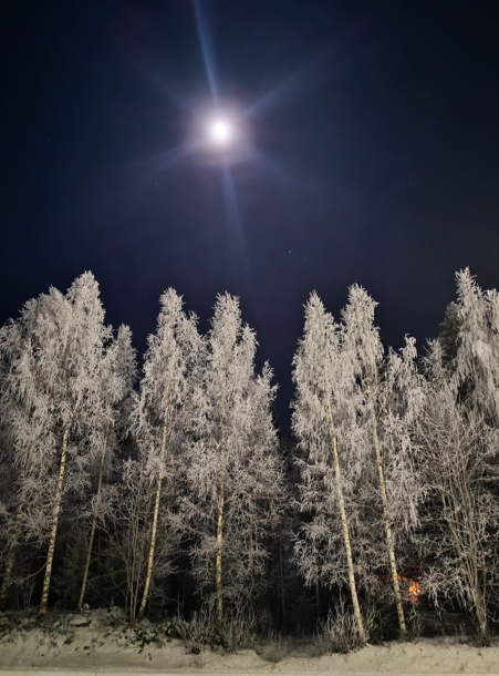 ✨ 7 päivän läsnäoloharjoitus(PDF)